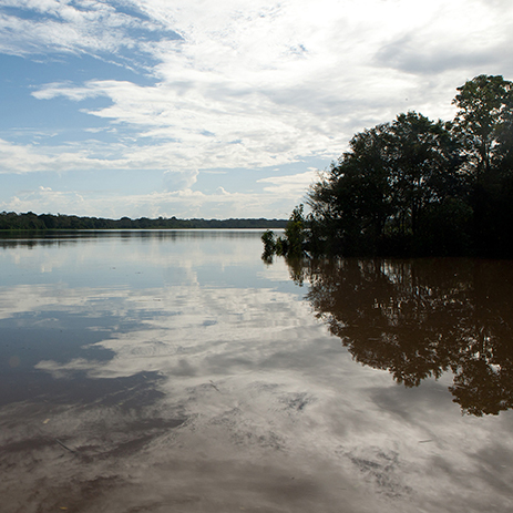 AMAZONAS 10 rio mosaico galeria_MG_4202.jpg